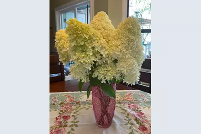 18 Linden Rd, Watsonville, CA 95076 - Photo 57