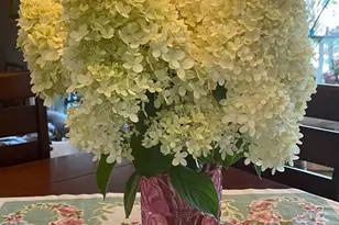 18 Linden Rd, Watsonville, CA 95076 - Photo 57