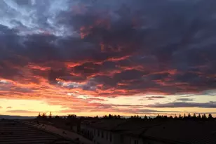 1068 Bigleaf Pl 402, San Jose, CA 95131 - Photo 23