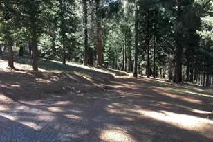 5051 Arctic Ln, Somerset, CA 95684 - Photo 9