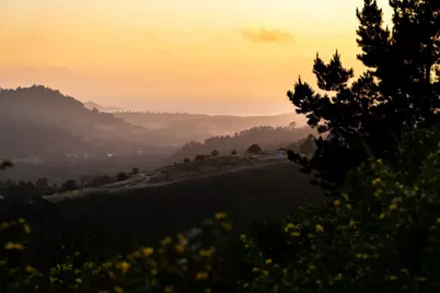 42 Tehama (Lot 23), Carmel, CA 93923 - Photo 13