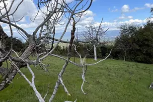 110 Silverline Rd, Los Gatos, CA 95033 - Photo 31