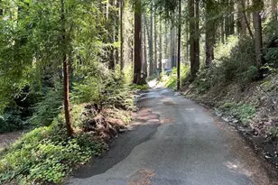 141 Leafwood Dr, Boulder Creek, CA 95006 - Photo 1