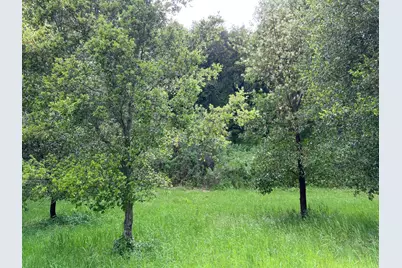 6 Arroyo Sequoia, Carmel, CA 93923 - Photo 37