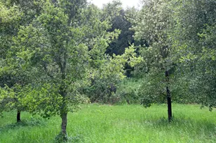 6 Arroyo Sequoia, Carmel, CA 93923 - Photo 37