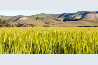 54800 Lonoak Rd, King City, CA 93930 - Photo 31