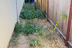 755 Alicante Dr, Hollister, CA 95023 - Photo 31