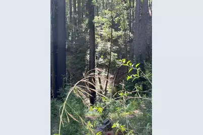 506 Sunset Rd, Boulder Creek, CA 95006 - Photo 17