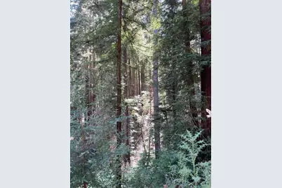 506 Sunset Rd, Boulder Creek, CA 95006 - Photo 15