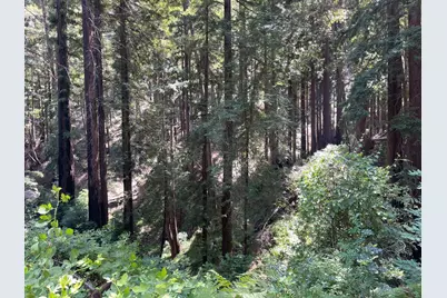 506 Sunset Rd, Boulder Creek, CA 95006 - Photo 11