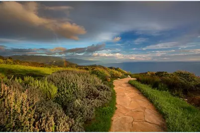 Clear Ridge Rd, Big Sur, CA 93920 - Photo 3