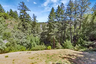 855 Oak Ridge Rd, Los Gatos, CA 95033 - Photo 67