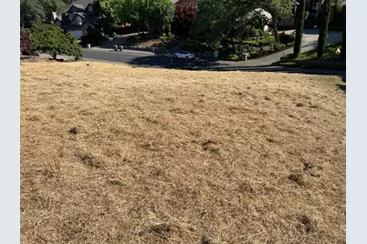 102 Black Gold Ln, Folsom, CA 95630 - Photo 17