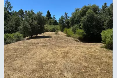 0000 Main Blvd, Los Gatos, CA 95033 - Photo 5