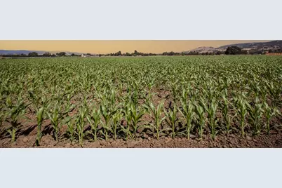 0 Crews Rd, Gilroy, CA 95020 - Photo 5