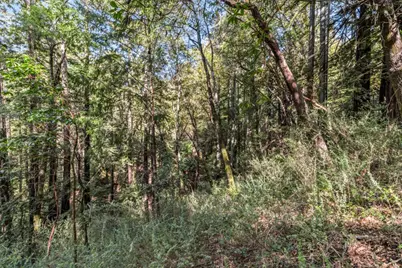 Lot 1 Desear, Felton, CA 95018 - Photo 5