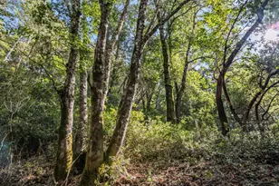 Lot 1 Desear, Felton, CA 95018 - Photo 1