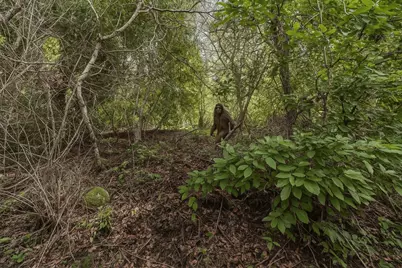 Lot 02 Lakeview Ave, Felton, CA 95018 - Photo 5