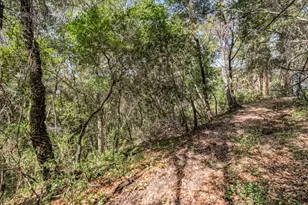 Lot 08 Madrone Ave, Felton, CA 95018 - Photo 1