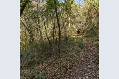 Lot 08 Madrone Ave, Felton, CA 95018 - Photo 3