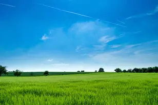 10868 Dougherty Ave, Morgan Hill, CA 95037 - Photo 1