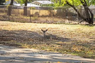 6282 Regis Rd, Paradise, CA 95969 - Photo 5