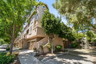 465 Tower Hill Ave, San Jose, CA 95136 - Photo 19