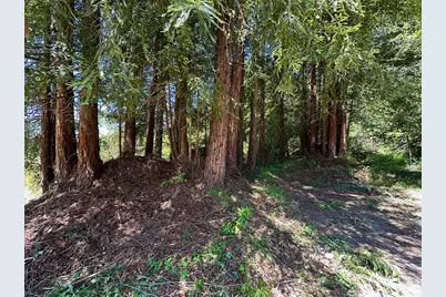 5601 Freedom Blvd, Aptos, CA 95003 - Photo 43