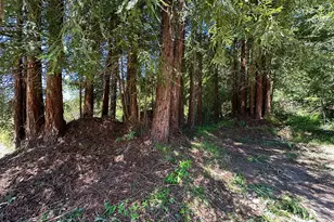 5601 Freedom Blvd, Aptos, CA 95003 - Photo 43