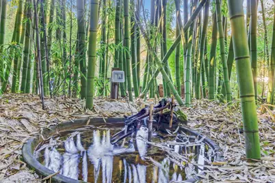 5601 Freedom Blvd, Aptos, CA 95003 - Photo 11