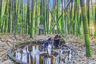 5601 Freedom Blvd, Aptos, CA 95003 - Photo 11