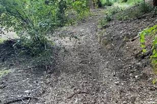 133 Western Ave, Brookdale, CA 95007 - Photo 65