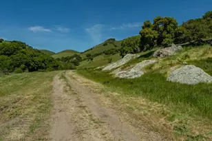 100 Old Stage Rd, San Juan Bautista, CA 95045 - Photo 23