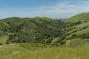 100 Old Stage Rd, San Juan Bautista, CA 95045 - Photo 57