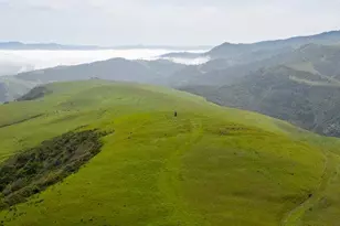 100 Old Stage Rd, San Juan Bautista, CA 95045 - Photo 3