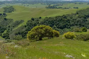 100 Old Stage Rd, San Juan Bautista, CA 95045 - Photo 45