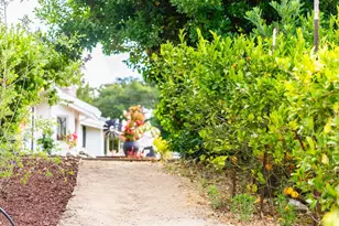 1501 Hidden Valley Rd, Soquel, CA 95073 - Photo 61