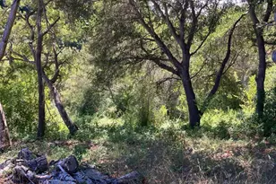 514 Meder St, Santa Cruz, CA 95060 - Photo 13