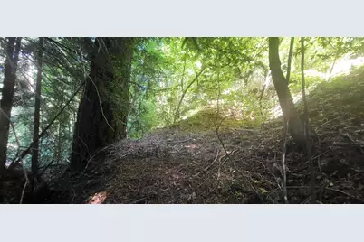 1080 Blue Ridge Dr, Boulder Creek, CA 95006 - Photo 7