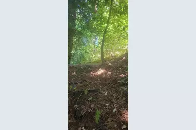 1080 Blue Ridge Dr, Boulder Creek, CA 95006 - Photo 5