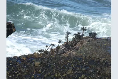 10247 Cabrillo Hwy, Pescadero, CA 94060 - Photo 17