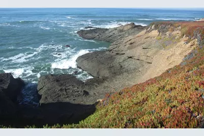 10247 Cabrillo Hwy, Pescadero, CA 94060 - Photo 21
