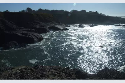 10247 Cabrillo Hwy, Pescadero, CA 94060 - Photo 5