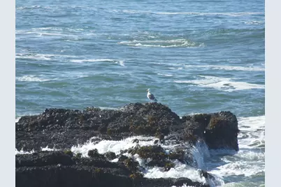 10247 Cabrillo Hwy, Pescadero, CA 94060 - Photo 19