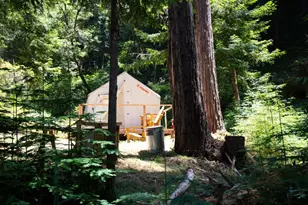 1003 Laurel Glen, Soquel, CA 95073 - Photo 85