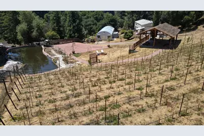 1003 Laurel Glen, Soquel, CA 95073 - Photo 9