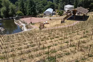1003 Laurel Glen, Soquel, CA 95073 - Photo 9