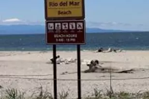 124 Winfield Way, Aptos, CA 95003 - Photo 21