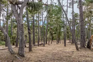 1070 Spyglass Woods Dr, Pebble Beach, CA 93953 - Photo 5