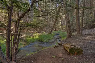 35425 Stonewall Dr, Shingletown, CA 96088 - Photo 89